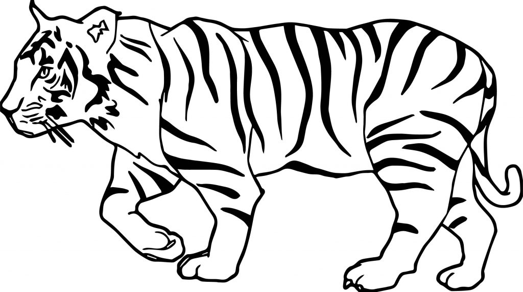 Tiger Walk Coloring Page - Wecoloringpage.com