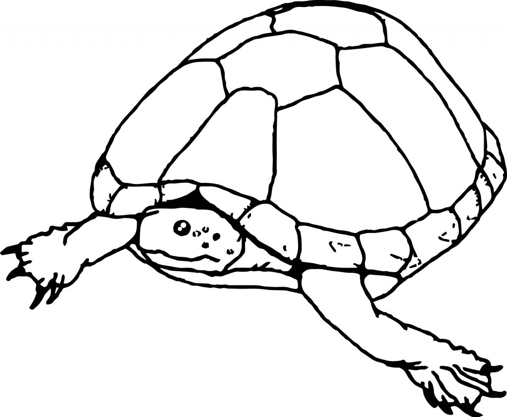 Tortoise Turtle Go Sea Coloring Page | Wecoloringpage.com