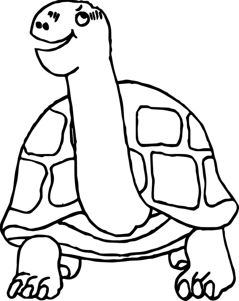 Tortoise Turtle Think Coloring Page - Wecoloringpage.com