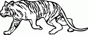 Walk Quite Tiger Coloring Page