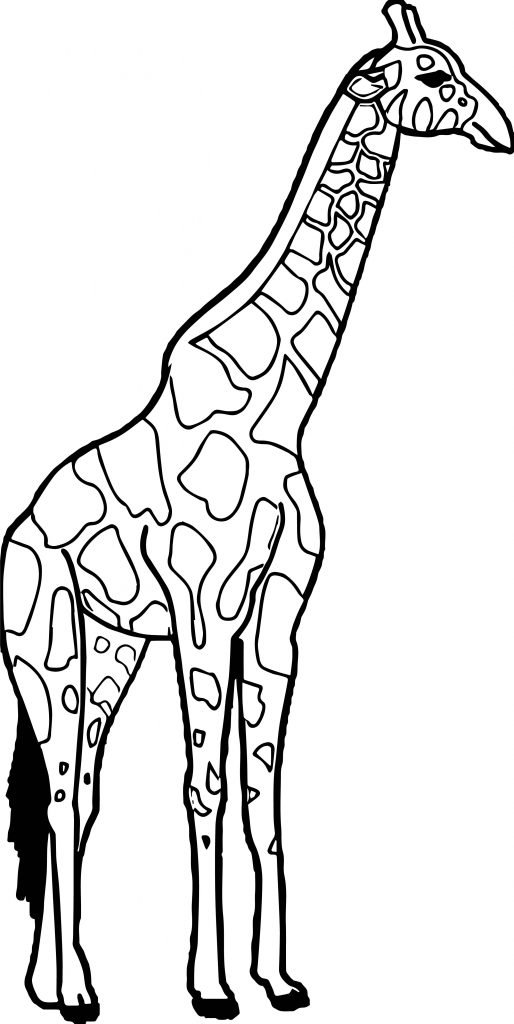 Outline Bat Coloring Page - Wecoloringpage.com