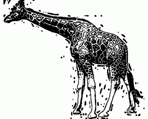 Giraffe Black Sketch Coloring Page