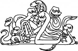 Animal Snakes Coloring Page