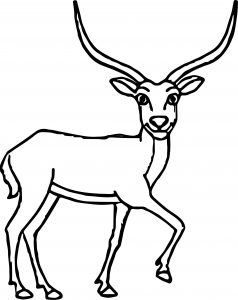 Looking Antelope Coloring Page