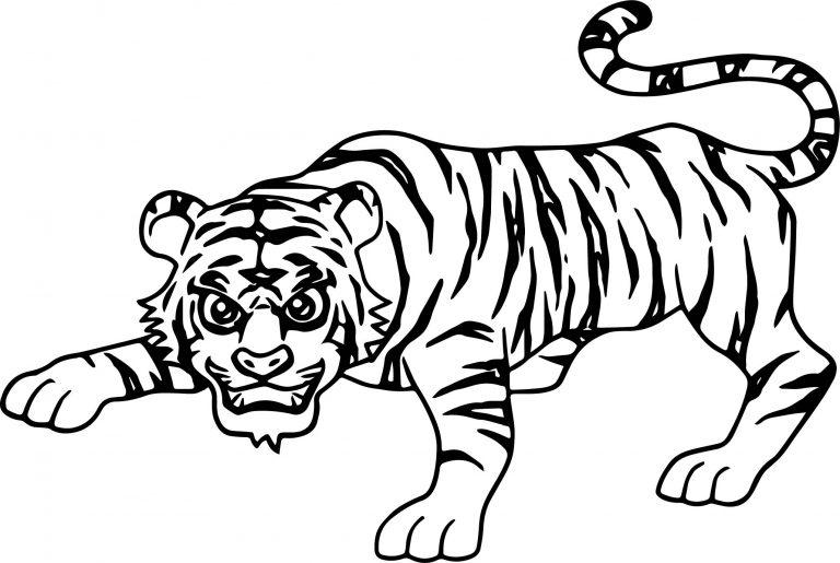 Smart Attack Tiger Coloring Page - Wecoloringpage.com
