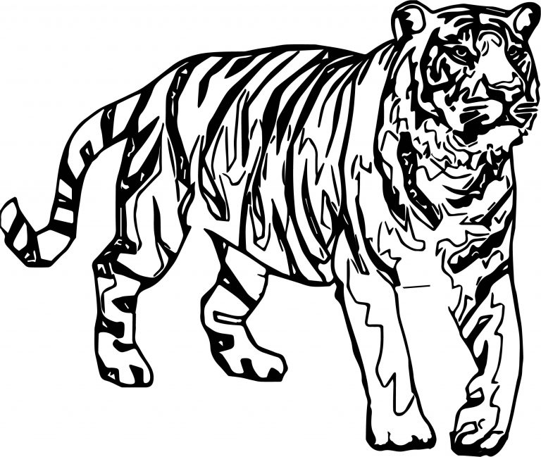 Tiger Look Coloring Pages | Wecoloringpagecom