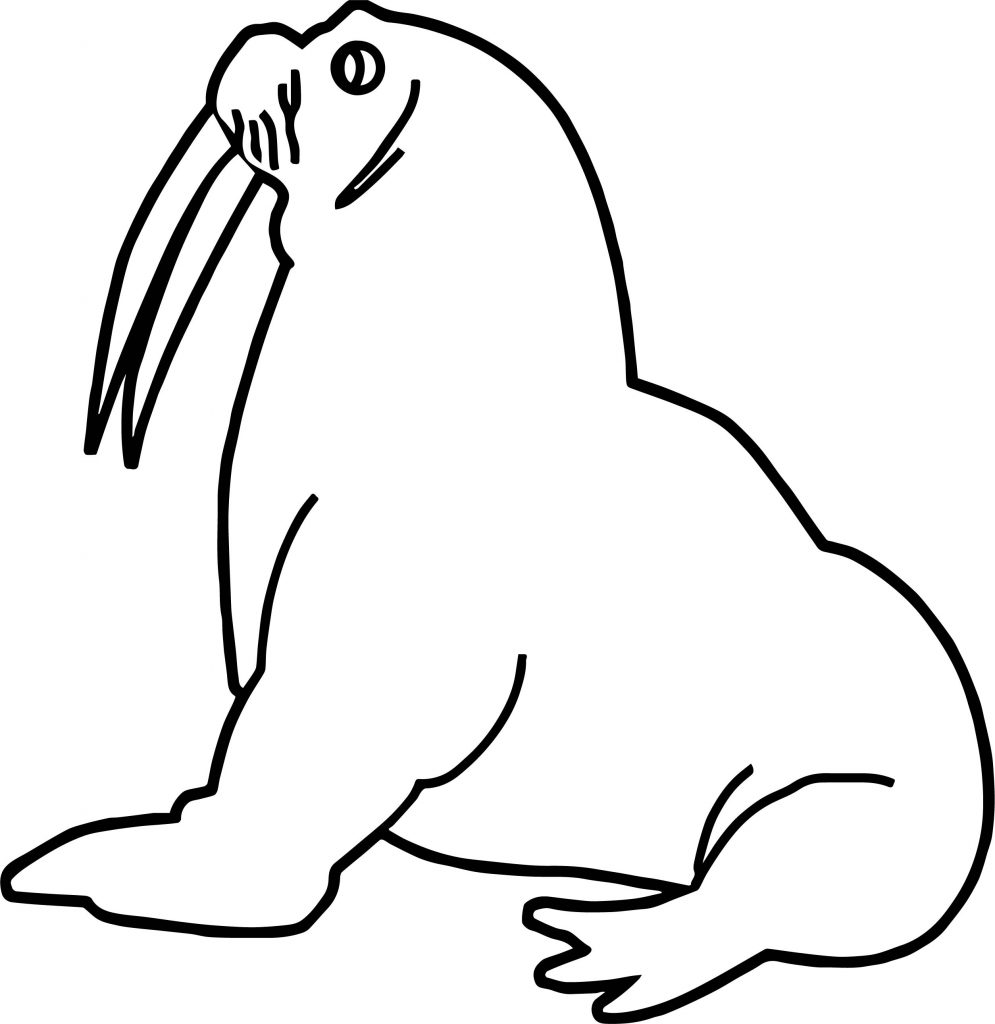 Any Walrus Coloring Page - Wecoloringpage.com