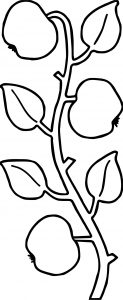 Apple Tree Ivy Coloring Page