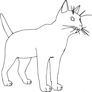 Fantastic Realistic Cat Coloring Page