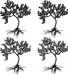 Four Apple Tree Coloring Page