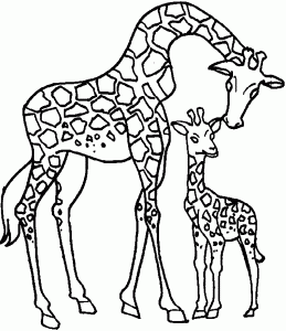 Giraffe Mother And Child Coloring Page