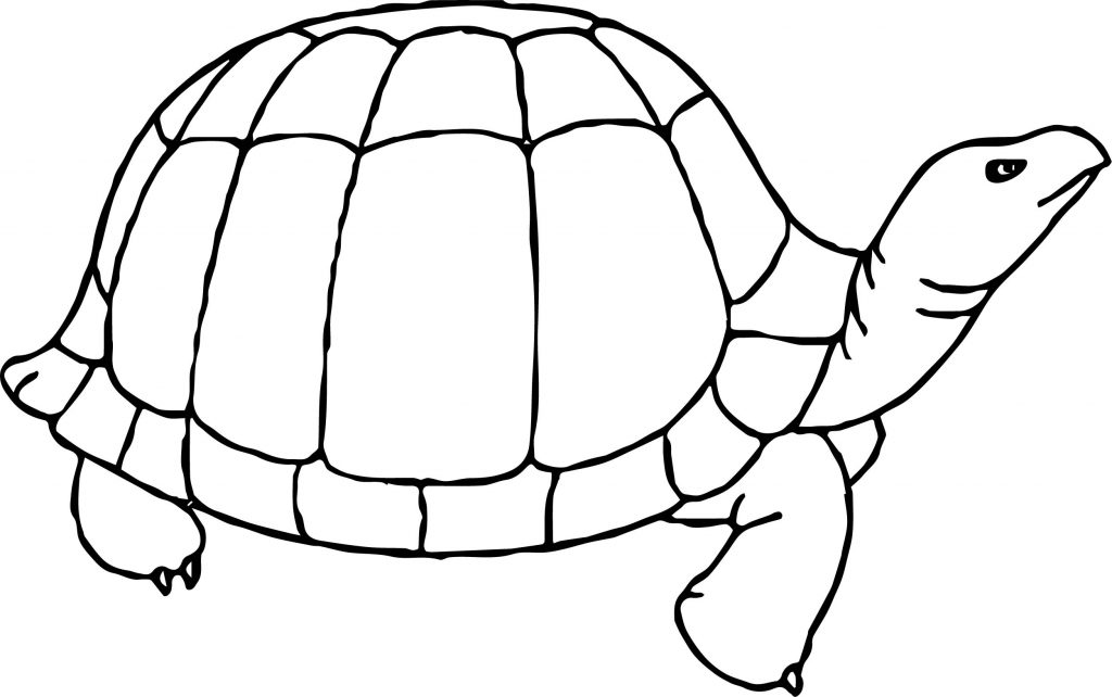 Happy Tortoise Turtle Coloring Page | Wecoloringpage.com