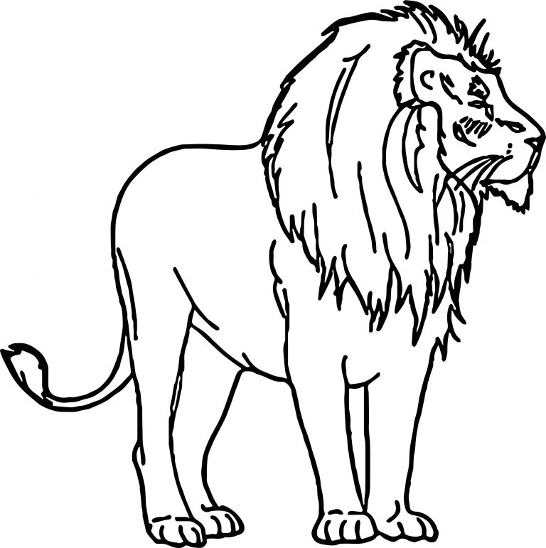 Lion Coloring Page - Wecoloringpage.com