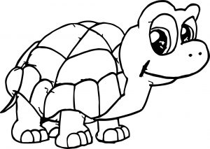 Waiting Tortoise Turtle Coloring Page