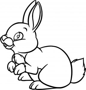 Snow White Forest Animals Snow White Bunny Coloring Pages