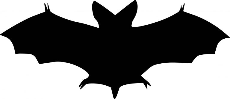 Black Bat Coloring Page - Wecoloringpage.com