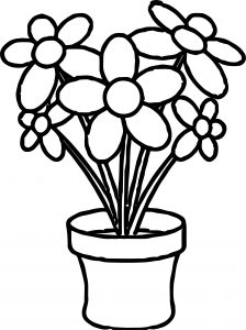 Flowers In Planter Coloring Page