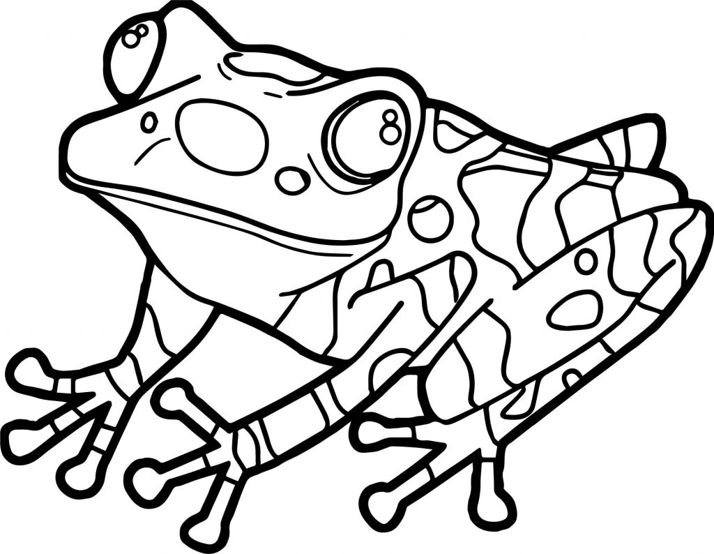 Frog Look Up Coloring Page - Wecoloringpage.com