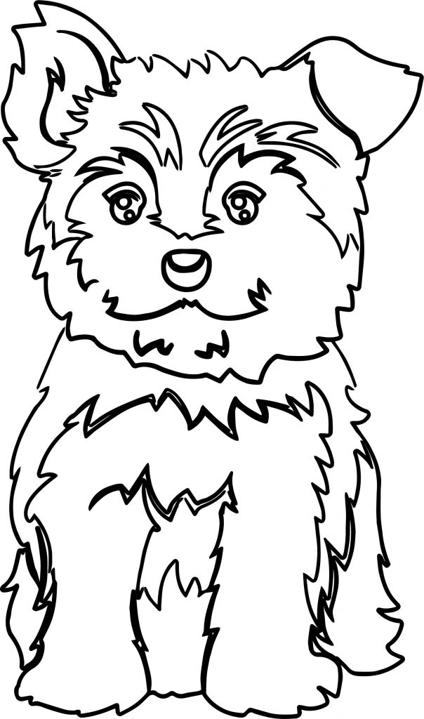 Yorkie Puppy Color Dog Puppy Coloring Page - Wecoloringpage.com