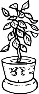 Flower Shape For Children Coloring Page