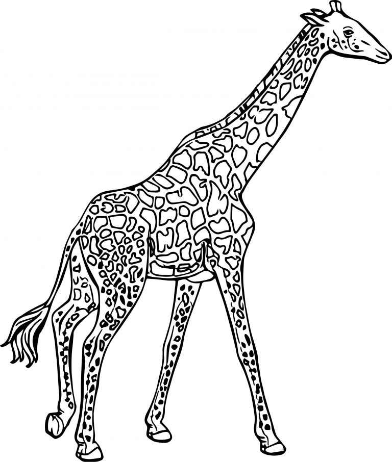 Giraffe Side Walk Coloring Page - Wecoloringpage.com