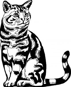 Realistic Cat Standing Coloring Page