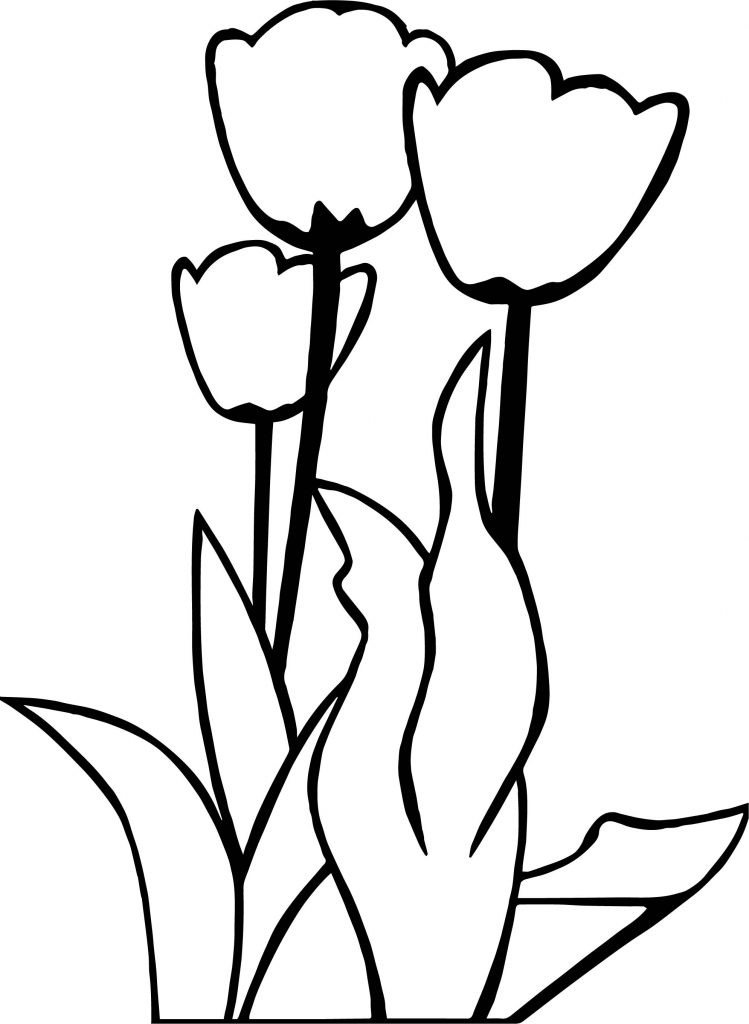 Tulips Flower Coloring Page - Wecoloringpage.com