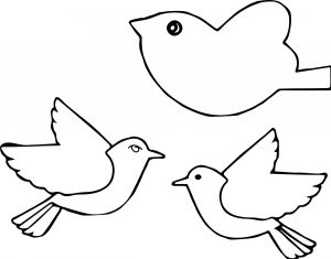 A Bird Coloring Page
