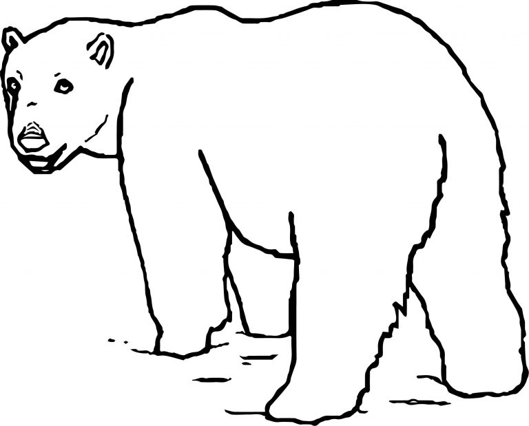 As Bear Coloring Page - Wecoloringpage.com