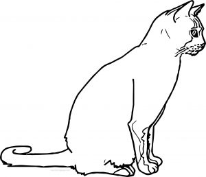 Cat Side Look Coloring Page