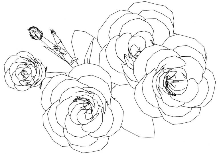 Flower Roses Coloring Page - Wecoloringpage.com