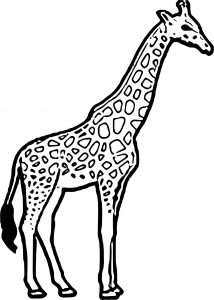 Giraffe Thirsty Coloring Page