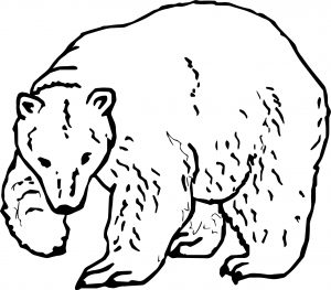 High Bear Coloring Page