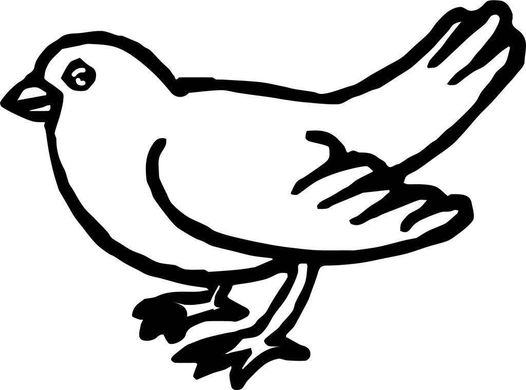 Can Bird Coloring Page | Wecoloringpage.com