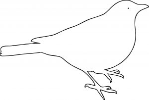 I Bird Outline Coloring Page