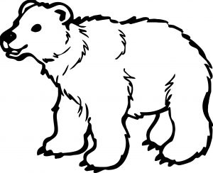 Long Bear Coloring Page