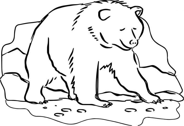 On Bear Coloring Page - Wecoloringpage.com