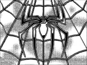 Spider Man Shirt Coloring Page