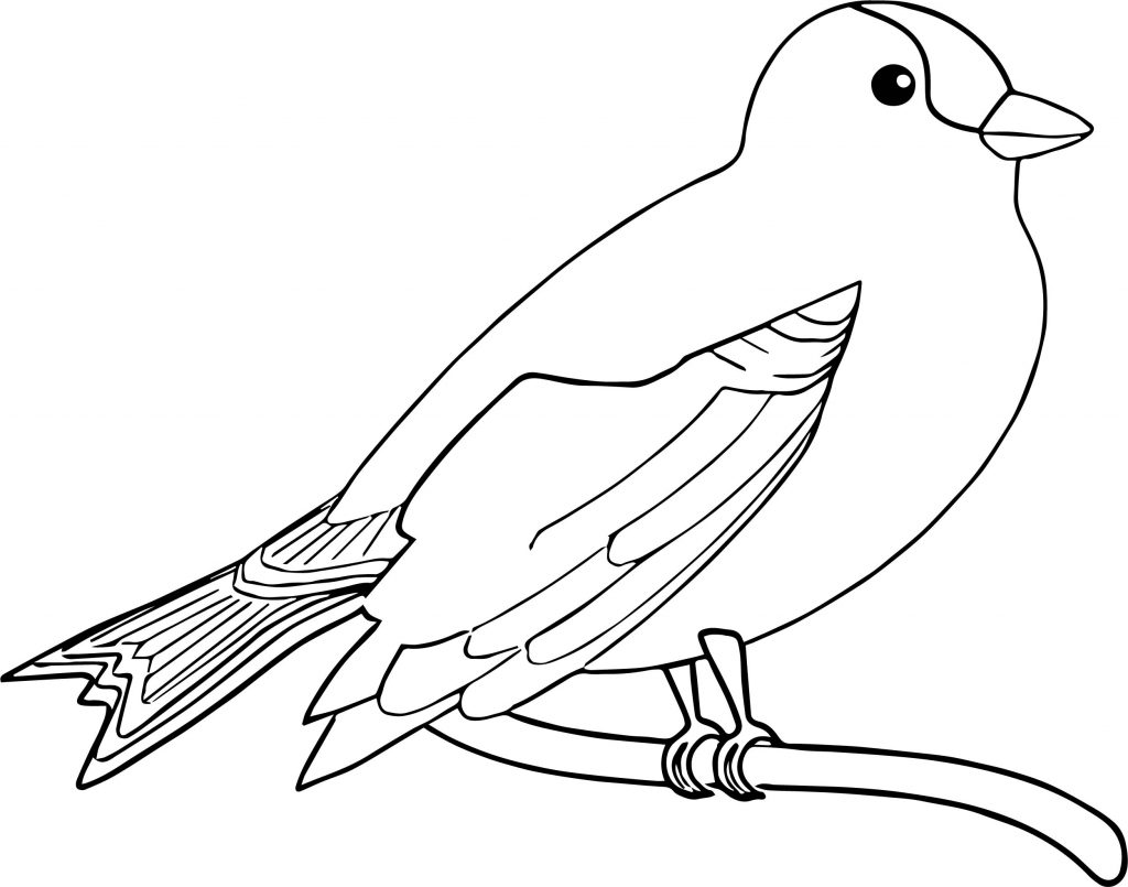 The Bird Coloring Page - Wecoloringpage.com