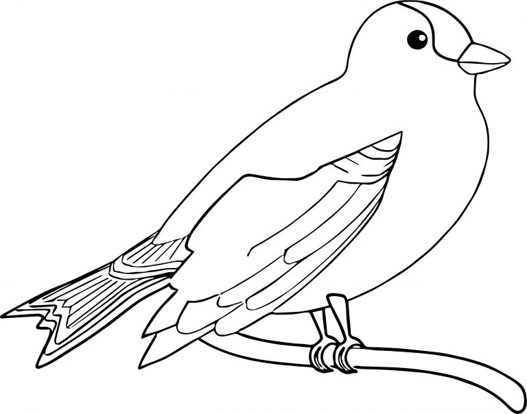 The Bird Coloring Page - Wecoloringpage.com