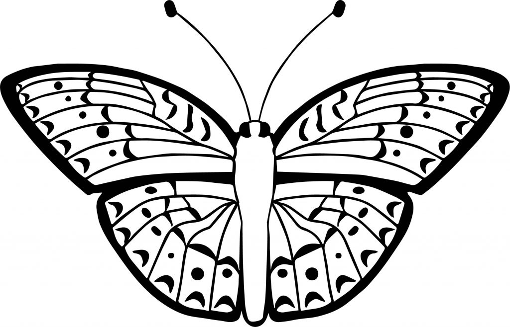 Top Butterfly Coloring Page - Wecoloringpage.com