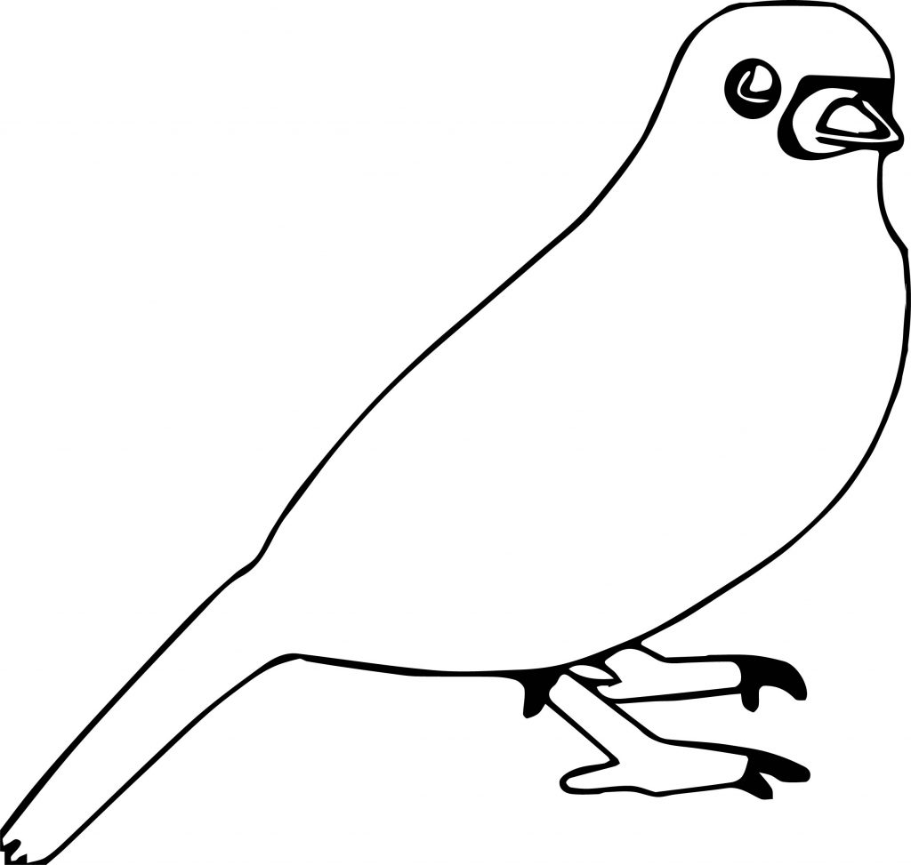 Word Bird Coloring Page | Wecoloringpage.com