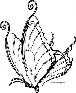 Drop Butterfly Coloring Page