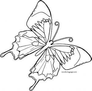 One Butterfly Coloring Page