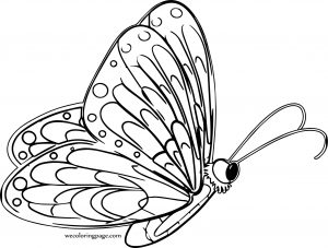 Side One Butterfly Coloring Page