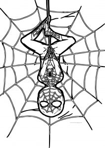 Spider Man On Net Coloring Page