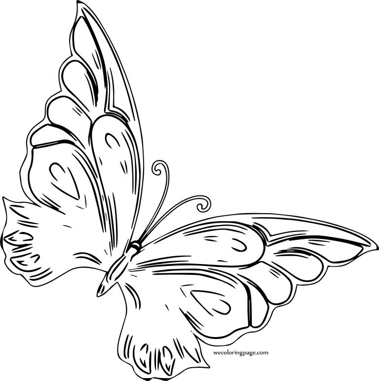 Style One Butterfly Coloring Page - Wecoloringpage.com