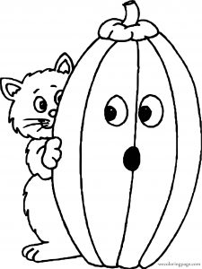 Cat And Pumpkin Coloring Page