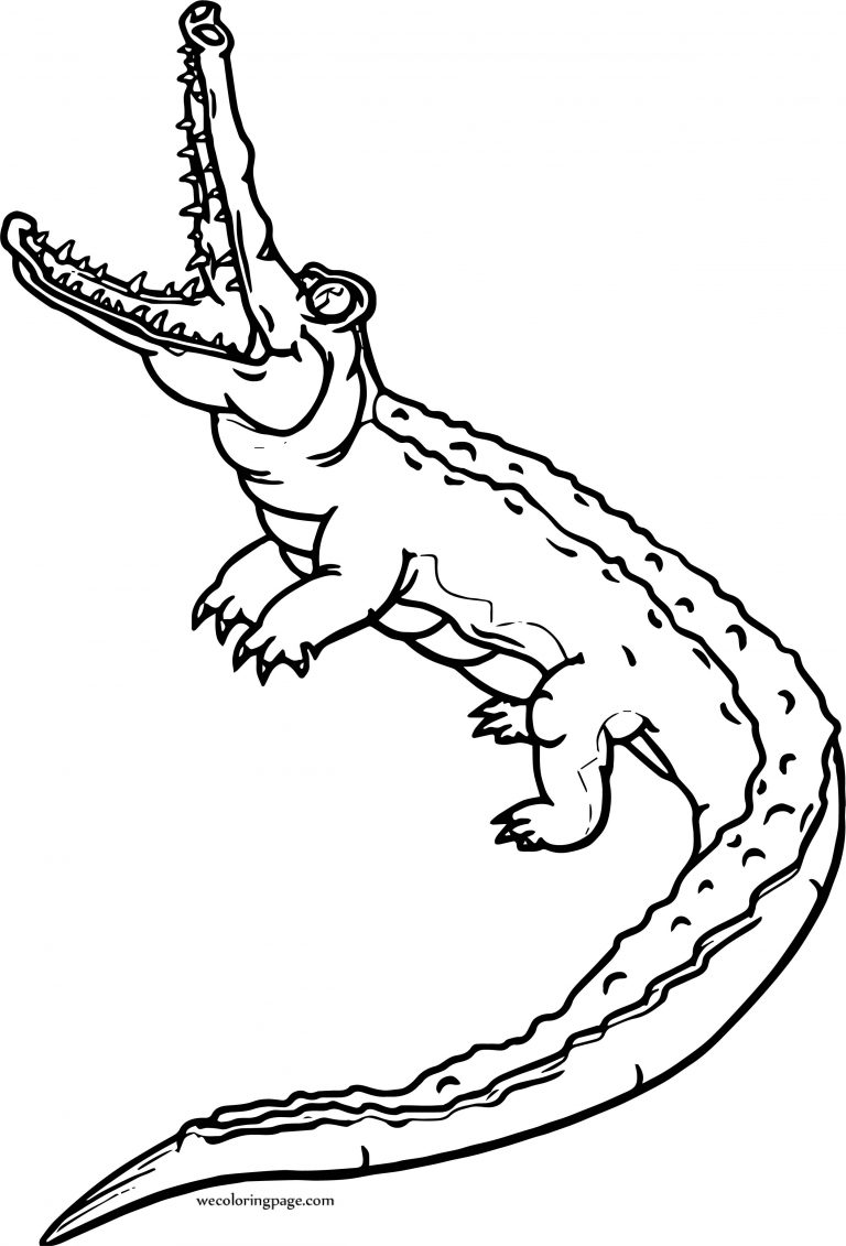 Crocodile Alligator Coloring Page - Wecoloringpage.com