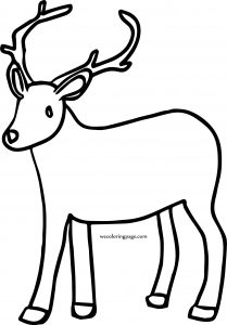 Search Results For Deer Pictures Image Coloring Page